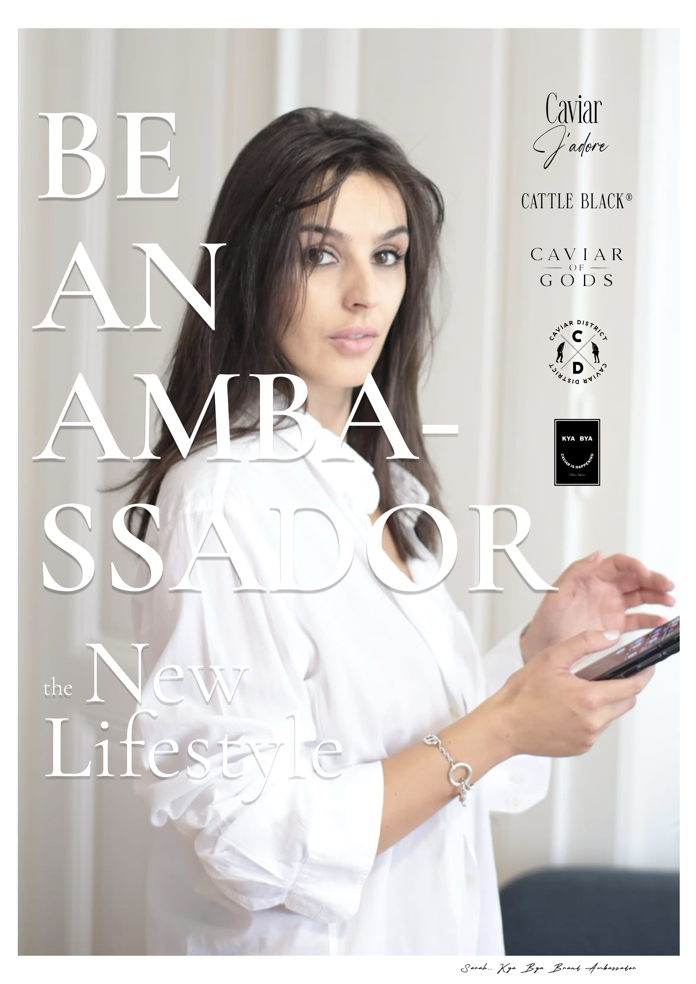 Brand ambassador programme artwork