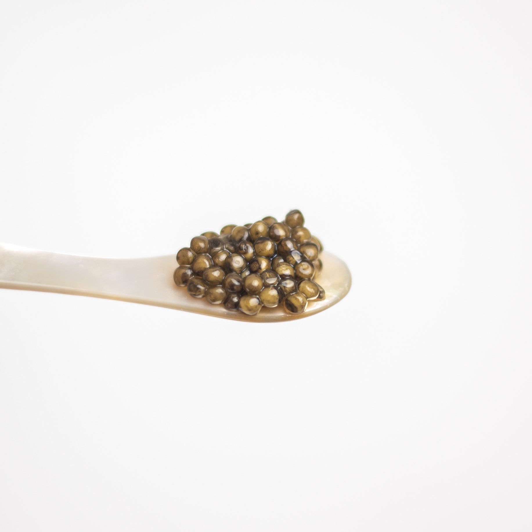 Caviar on a mother-of-pearl spoon